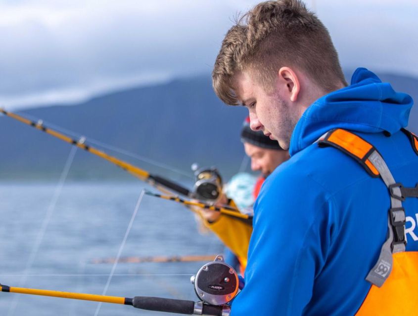 Reykjavik: Sea Fishing Boat Tour & BBQ with the Day's Catch - From Reykjavik Old Harbor to Faxaflói Bay: how the trip actually runs
