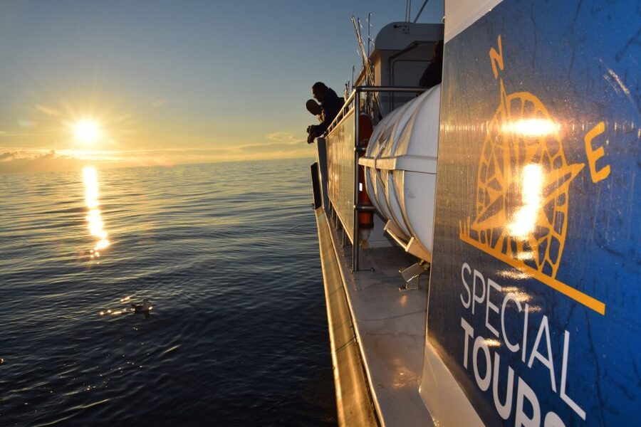 Reykjavik: Sea Fishing Boat Tour & BBQ with the Day's Catch - The onboard coaching that turns beginners into fish-catchers