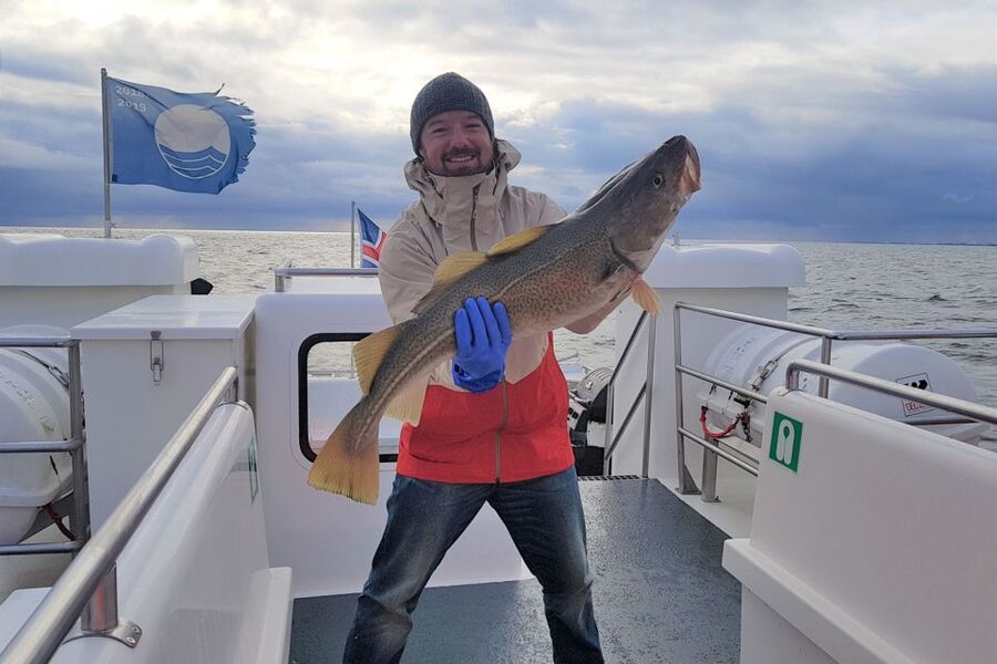 Reykjavik: Sea Fishing Boat Tour & BBQ with the Day's Catch - Ocean conditions and motion sickness, the practical reality