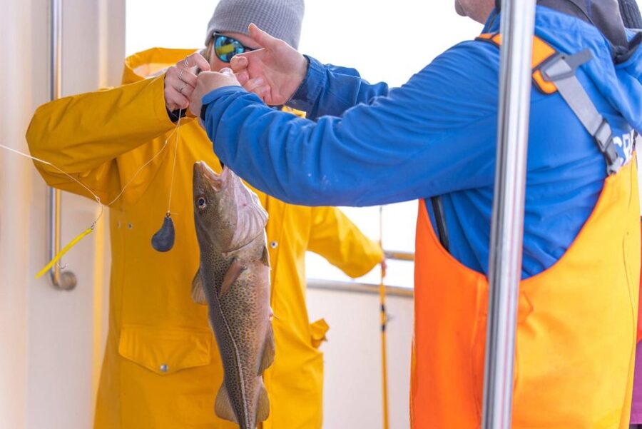 Reykjavik: Sea Fishing Boat Tour & BBQ with the Day's Catch - Cold-water fishing targets: cod, halibut, haddock, rockfish, pollock