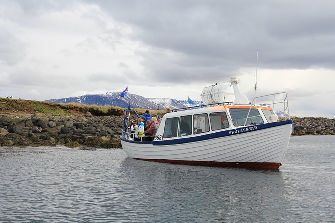 Reykjavik Shore Excursion: Puffin Sightseeing Cruise - Boarding day logistics: where the transfer really matters