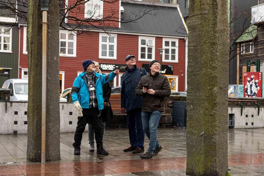 Reykjavik: Sightseeing Walking Tour with a Viking - Laugavegur, the Main Street Feeling You Need on Day One
