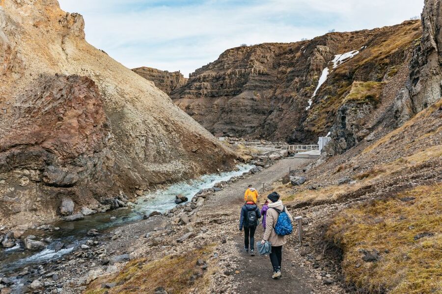 Reykjavik: Silver Circle Tour, Canyon Ride, & Thermal Baths - Sturlureykir Horse Farm and Rugbrauð Worth the Detour