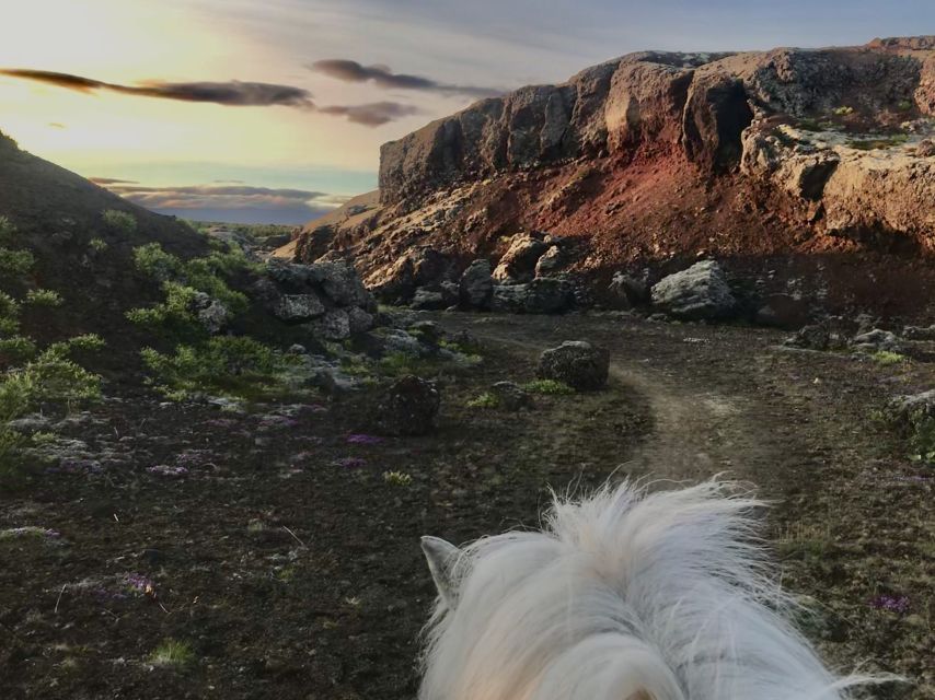 Reykjavik: Small-Group Horse Volcano Riding Tour with Pickup - Key points before you go