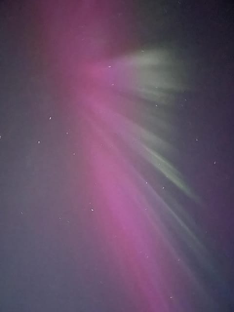 Reykjavik: Small-Group Northern Lights Tour with Pickup - Price and value: what $110 buys you for 4 hours