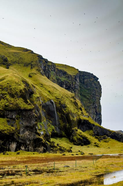 Reykjavik: Small Group Snæfellsnes Tour - Arnarstapi sea cliffs and basalt formations: where the coast gets dramatic
