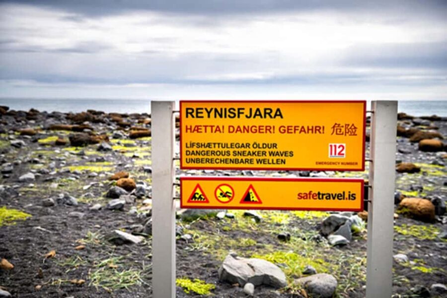 Reykjavik: South Coast Tour with Chinese Guide - Reynisfjara black sand beach: basalt columns and sea stacks