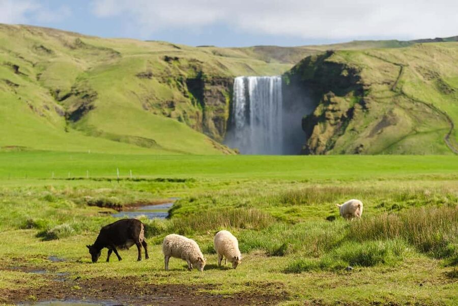 Reykjavik: South Coast Tour with Chinese Guide - Seljalandsfoss: the waterfall you can walk behind