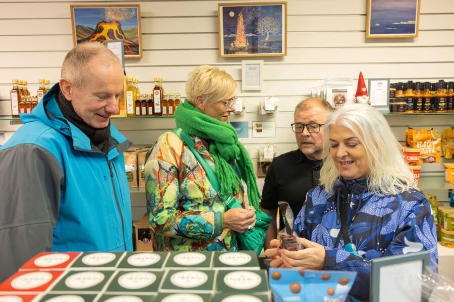 Reykjavik: The Icelandic Sweet Tooth Tour - Quick Hits on the Icelandic Sweet Tooth Tour