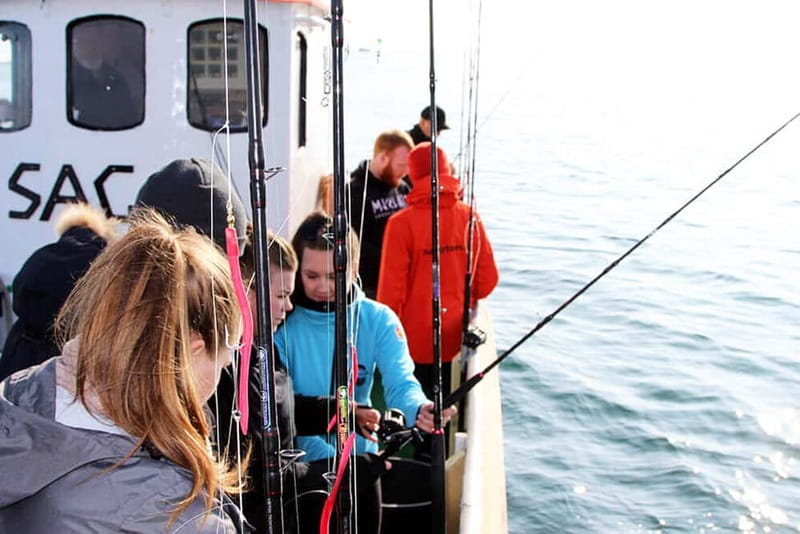 Reykjavik: Traditional Sea Fishing with BBQ Feast - Key Points You Should Know Before Booking