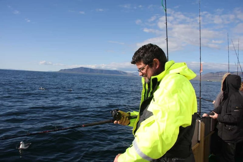 Reykjavik: Traditional Sea Fishing with BBQ Feast - The BBQ Feast on the Return: Lunch with Potatoes and Sauce