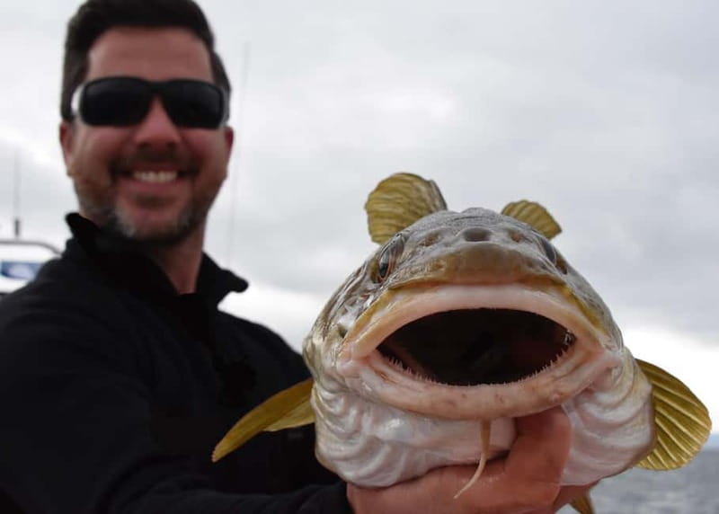 Reykjavik: Traditional Sea Fishing with BBQ Feast - Price and Value: Is $176 Per Person Worth It?
