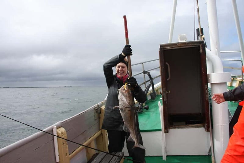 Reykjavik: Traditional Sea Fishing with BBQ Feast - Who Should Book, and Who Should Skip This One
