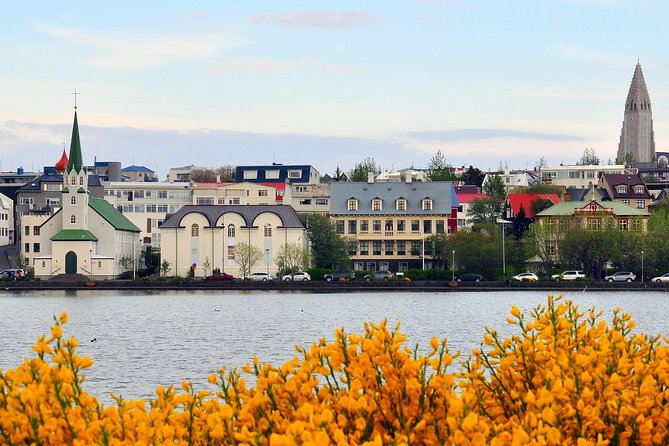 Reykjavik Walking Tour - Walk with a Viking - Guides: the difference between seeing places and understanding them