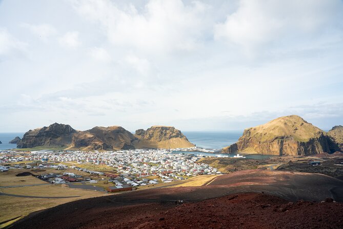 Reykjavík: Westman Islands, Volcanoes and Puffins Minibus Tour - Skansinn and Stafkirkjan: short stop, good variety