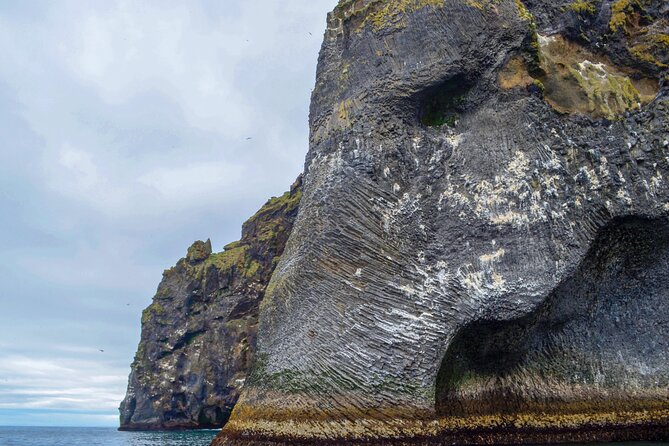 Reykjavík: Westman Islands, Volcanoes and Puffins Minibus Tour - Weather readiness and the small gotchas to plan around