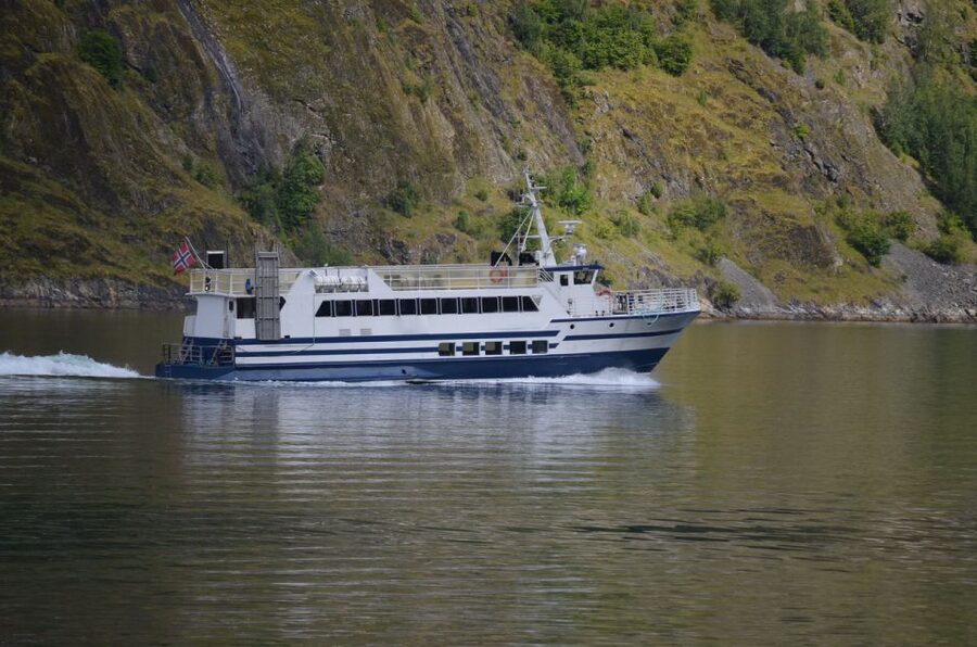 Reykjavik: Whale & Marine Adventure Tour - How the Timing Really Works (And Why It Can Flex)