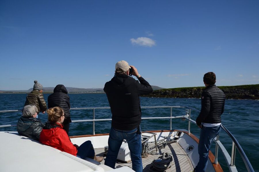 Reykjavik: Whale Watching and Dolphin Watching Yacht Cruise - Who this Reykjavik yacht cruise is best for