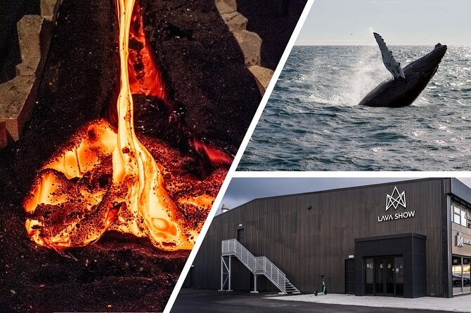 Reykjavik Whale Watching and Lava Show - Lava Show Reykjavik: Real Lava Heat in a Controlled Setting