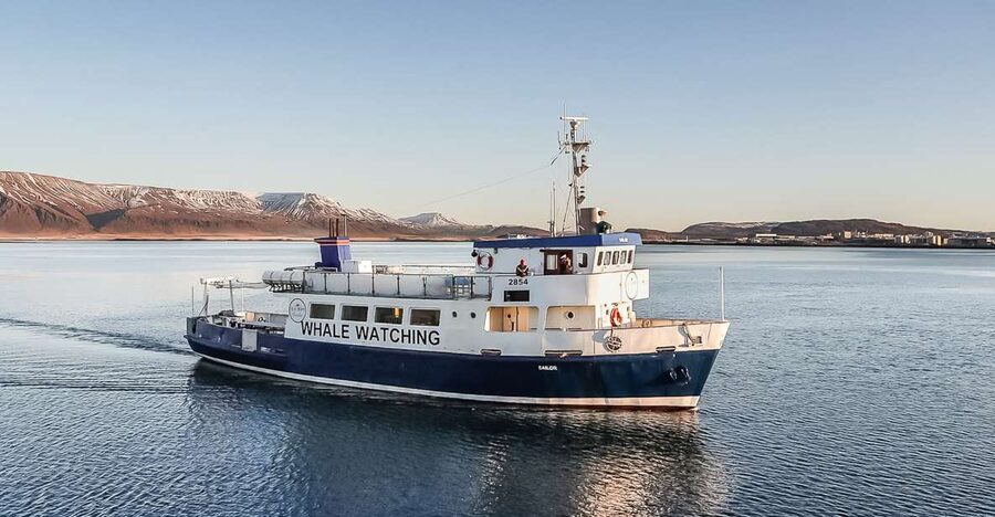 Reykjavík: Whale Watching and Marine Life Cruise - From Old Harbour to open water: how the cruise starts