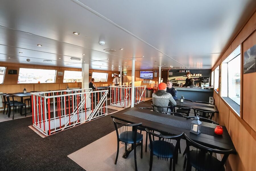 Reykjavík: Whale Watching and Marine Life Cruise - Dressing for the ocean cold, not the city weather