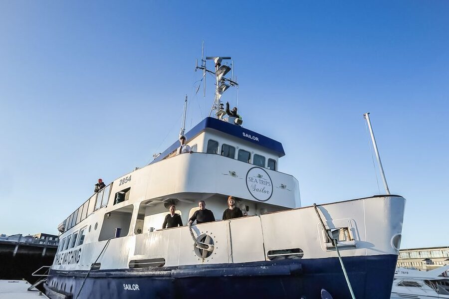 Reykjavík: Whale Watching and Marine Life Cruise - When the whales are far, your timing stretches