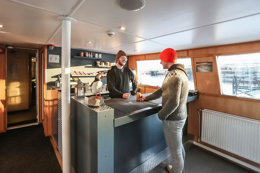 Reykjavík: Whale Watching and Marine Life Cruise - Responsible watching that keeps the animals in control