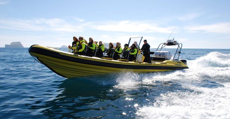 Reykjavik: Whale Watching by RIB Speedboat - Key things I’d plan around before you go