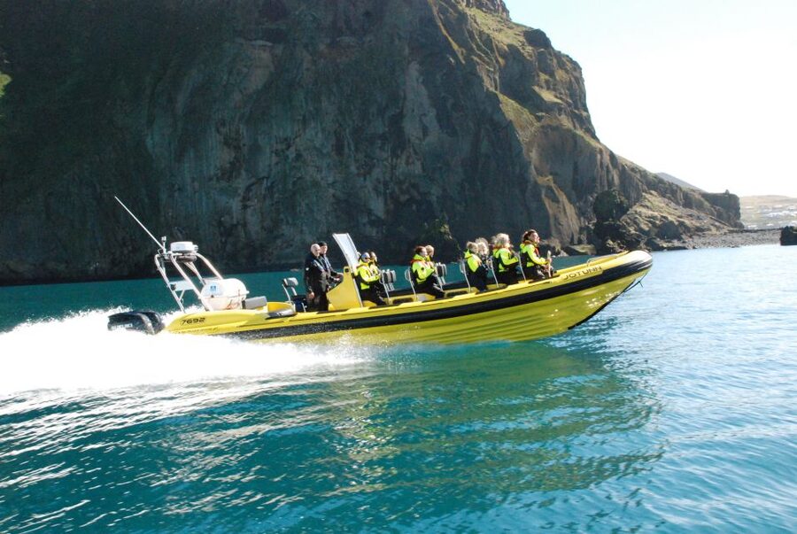 Reykjavik: Whale Watching by RIB Speedboat - Weather, warmth, and the bumpy ride reality