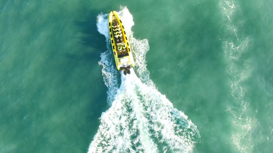 Reykjavik: Whale Watching by RIB Speedboat - Guides, small-boat focus, and how information boosts the experience