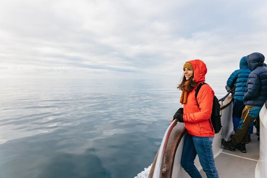 Reykjavík: Whale Watching Cruise on the Amelia Rose Yacht - Quick Checklist Before You Go