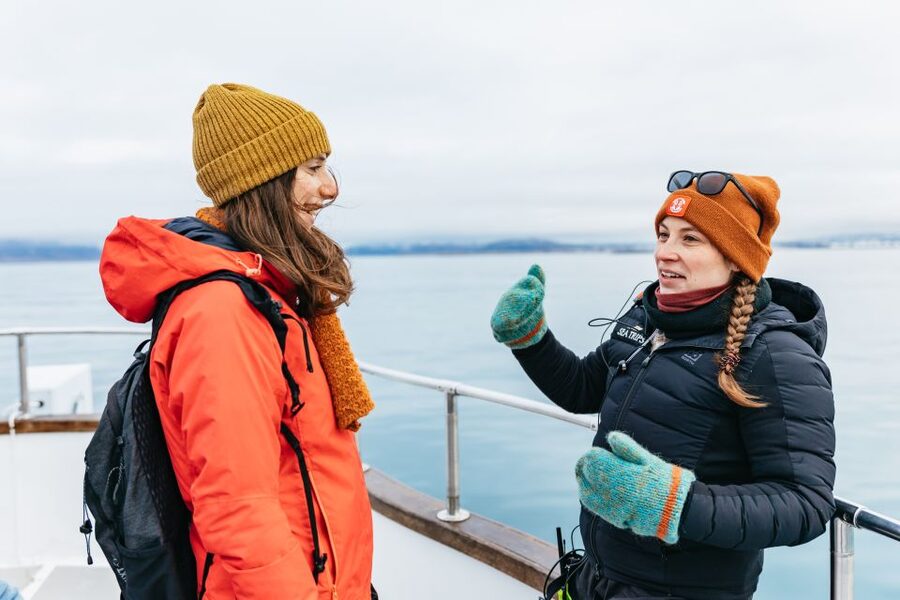 Reykjavík: Whale Watching Cruise on the Amelia Rose Yacht - From Old Harbour House to Faxaflói Bay: How the Sail Typically Flows