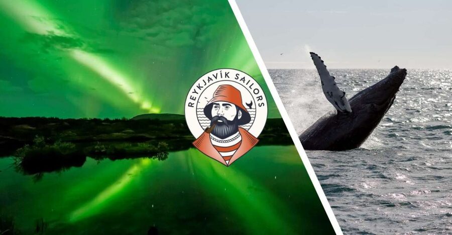 Reykjavik: Whale Watching & Northern Lights Combo Cruise - Key things to know before you go