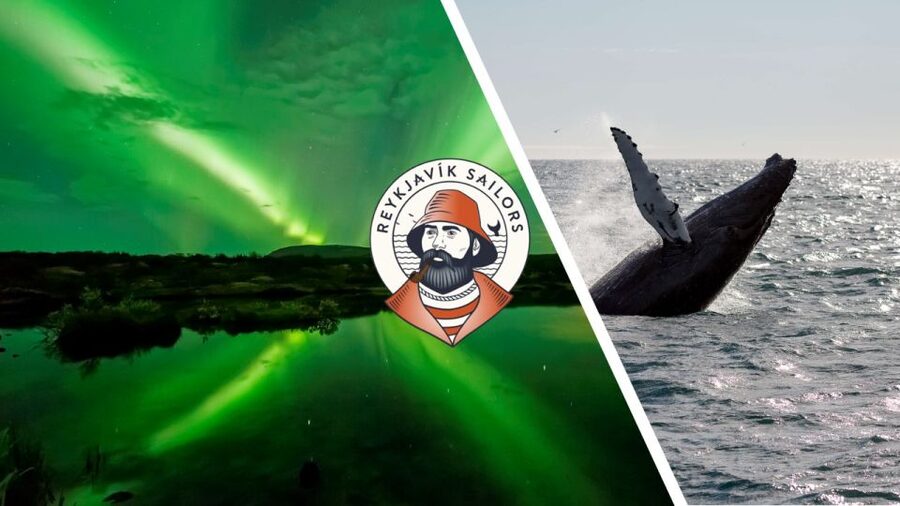 Reykjavik: Whale Watching & Northern Lights Combo Cruise - Check-in and first impressions at Geirsgata 11