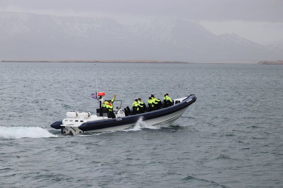 Reykjavik: Whale Watching Tour by RIB Boat - Akurey puffins in summer: a bonus stop with real personality