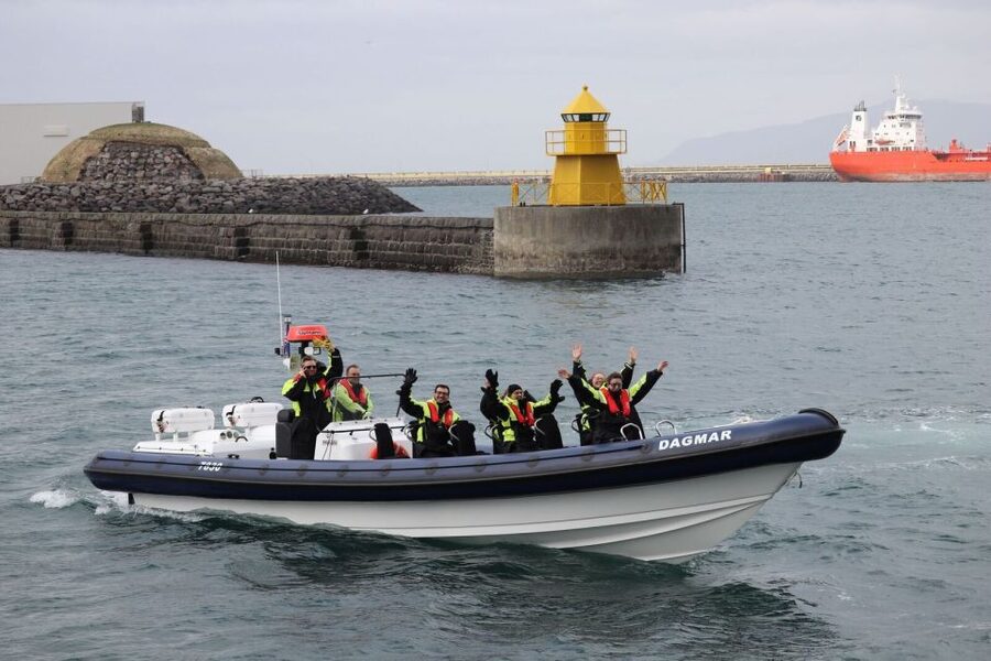 Reykjavik: Whale Watching Tour by RIB Boat - Price and value: what about $194 gets you