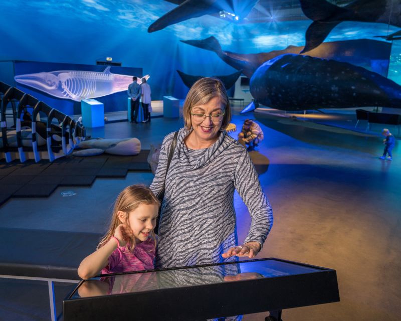 Reykjavik: Whale Watching Tour, Whales of Iceland Exhibition - Key things that make this tour worth your time