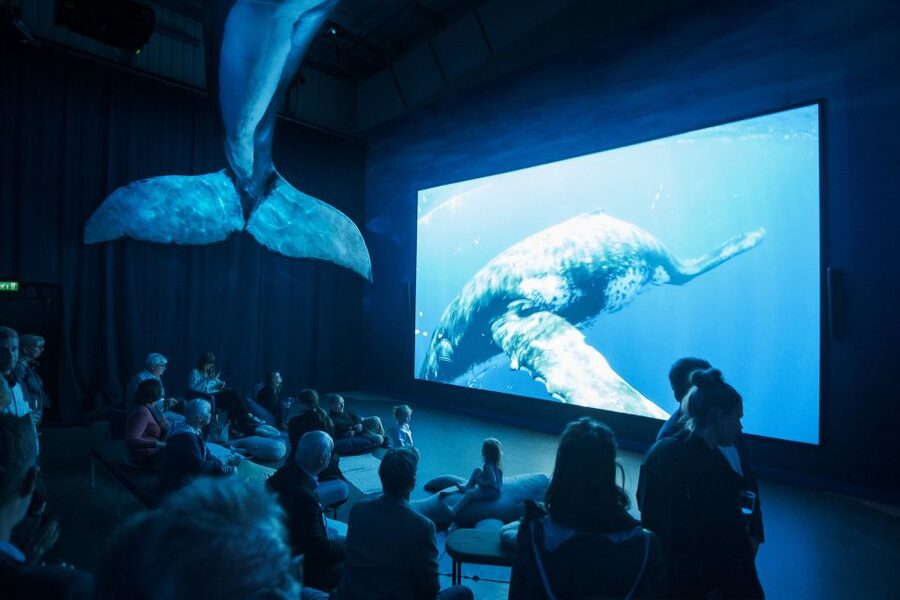 Reykjavik: Whale Watching Tour, Whales of Iceland Exhibition - The Whales of Iceland Exhibition: life-size models and VR learning
