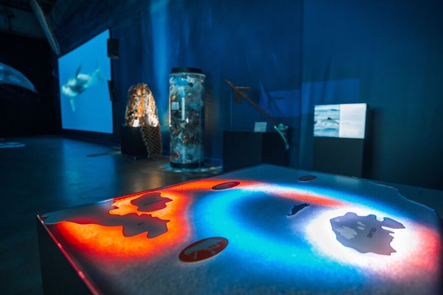 Reykjavik: Whales of Iceland Museum Entrance Ticket - Whales of Iceland is the smart add-on to any Reykjavík day