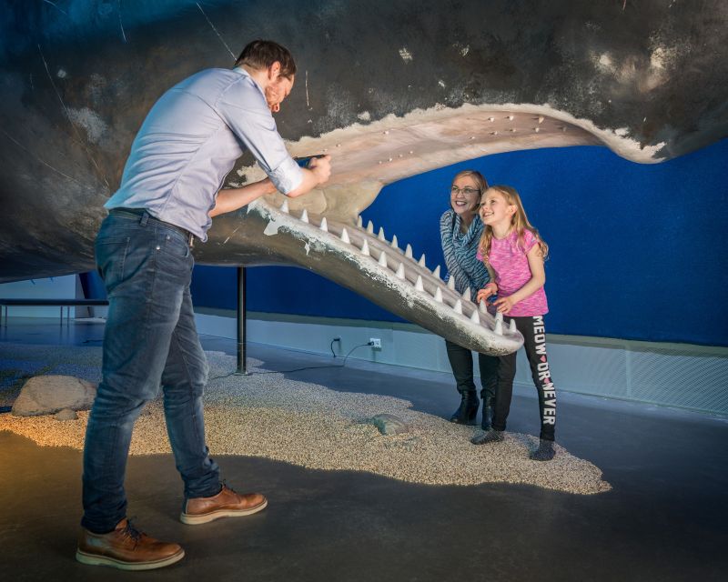 Reykjavik: Whales of Iceland Museum Entrance Ticket - Price and value: what you get for $34