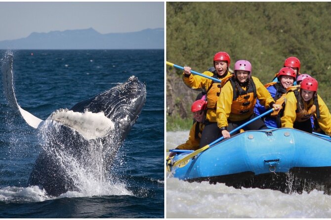 Reykjavik Whales & White Water Rafting Adventure - What to wear on the whale cruise (so you don’t freeze mid-scan)