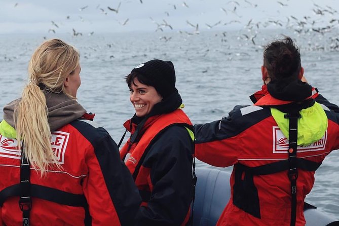 RIB Whale Watching Small-Group Boat Tour from Reykjavik - The puffin season bonus: Akurey, Engey, or Lundey island stop near Reykjavík