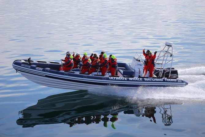 RIB Whale Watching Small-Group Boat Tour from Reykjavik - Harbour photo time: Harpa Concert Hall, Sun Voyager, and the Reykjavík shoreline view