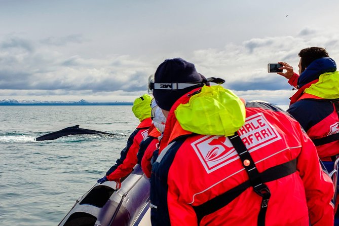 RIB Whale Watching Small-Group Boat Tour from Reykjavik - Meeting at Ægisgarður 5d and getting suited up for the North Atlantic
