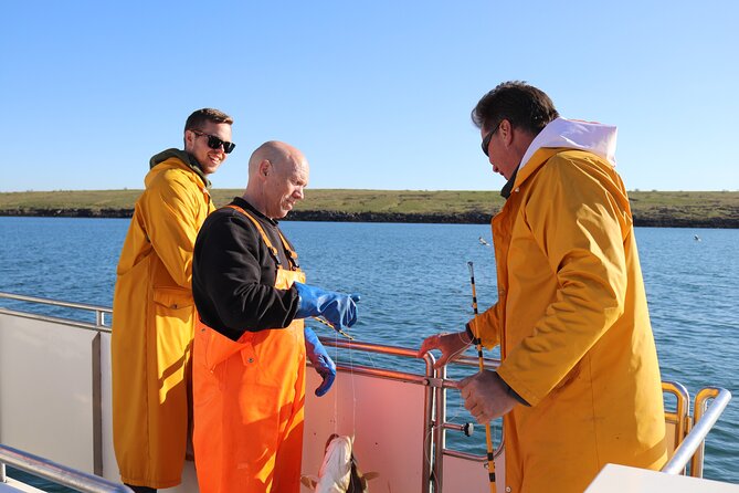 Sea Fishing Experience from Reykjavik - Key highlights worth knowing