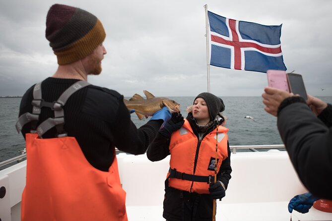 Sea Fishing Experience from Reykjavik - Summer route details: Akurey and Lundey for seabirds and puffins