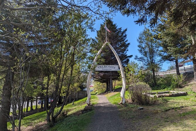 Self-Guided Tour of Ísafjörður: Art, History, and Architecture - Key things to know before you go