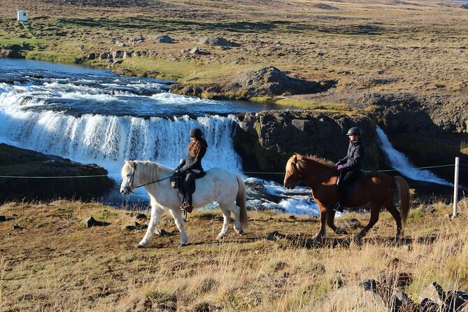 Short Riding Tour with Eye-Catching Photos at Waterfall - Akureyri horseback time with a Reykjafoss photo payoff