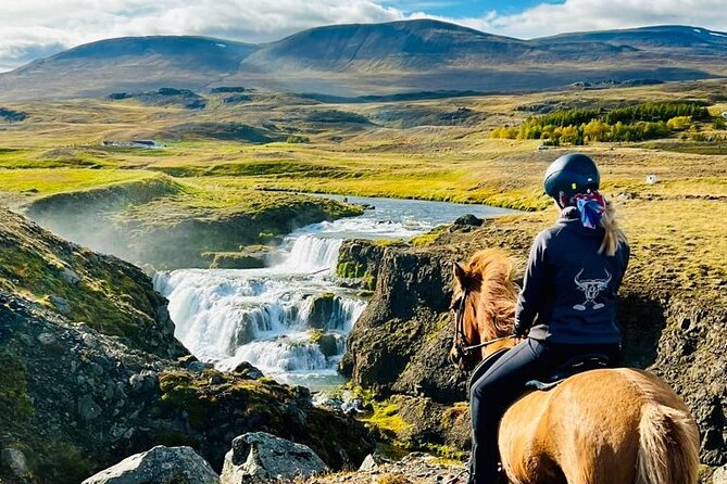 Short Riding Tour with Eye-Catching Photos at Waterfall - Reykjafoss and Brandgil: why this waterfall stop works so well