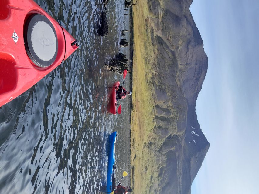 Siglufjörður / Siglufjordur: Guided kayak tour. - Key highlights that make this kayak tour worth your time